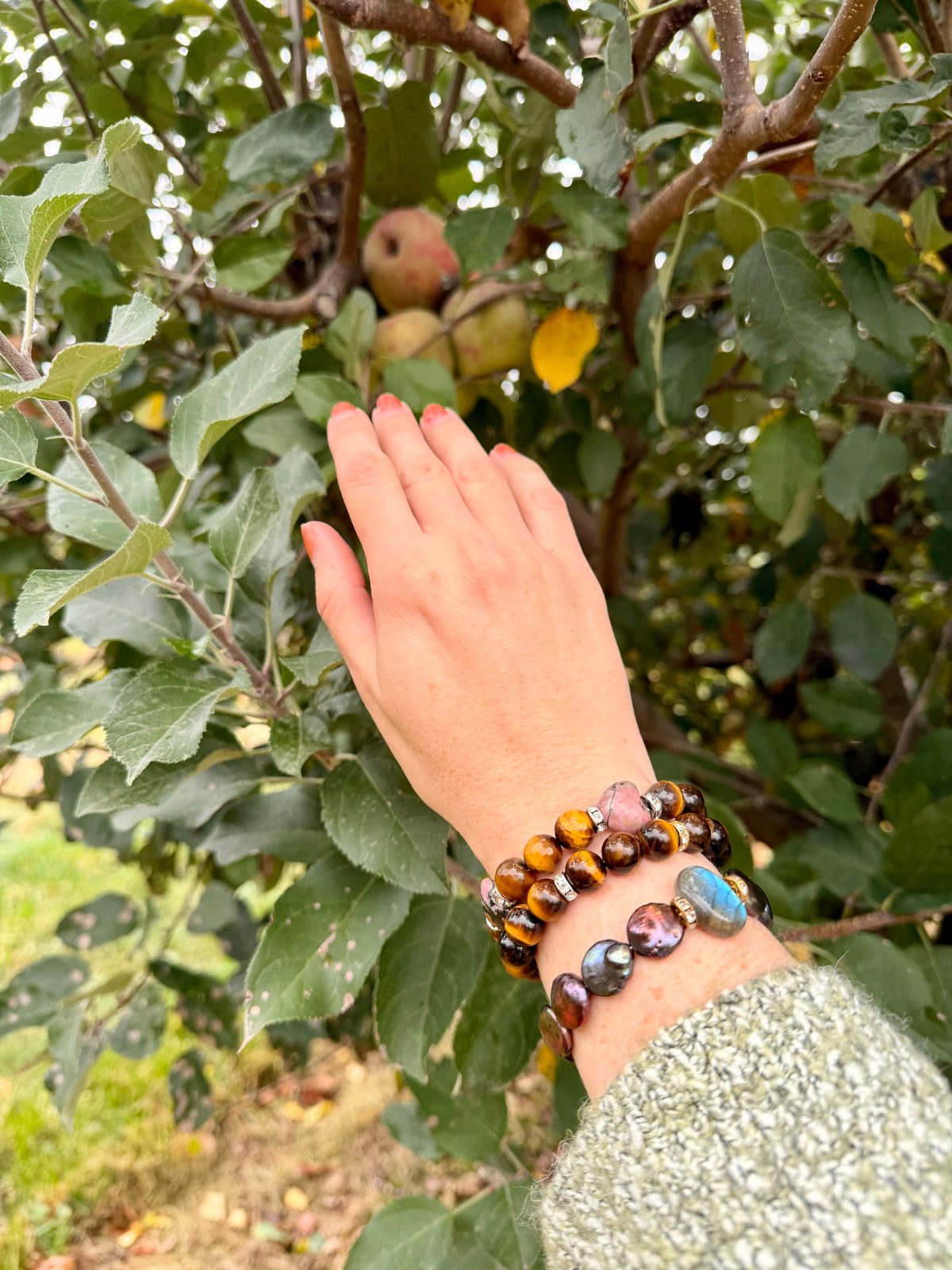 Tiger's Eye